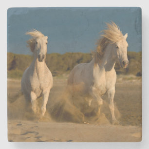 White Horses Running On Beach   Camargue, France Stone Coaster
