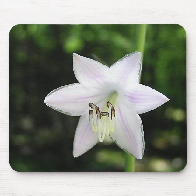 White Hosta Flower Mouse Mat (Front)