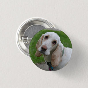 White Hound Dog, Head Tilted to the Side 3 Cm Round Badge