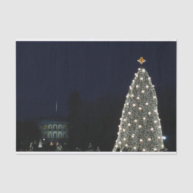 White House and National Tree Christmas Holiday DC Tissue Paper (Front)