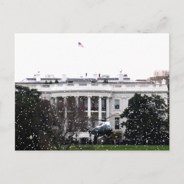 White House Marine One Postcard (Front)