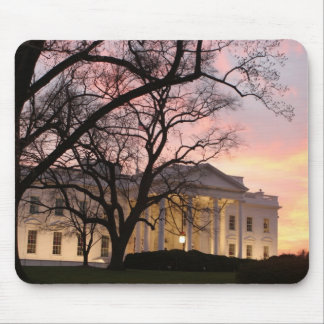 White House Night Scene Mouse Mat