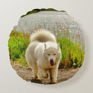 White Husky Blue eyes: Round Cushion