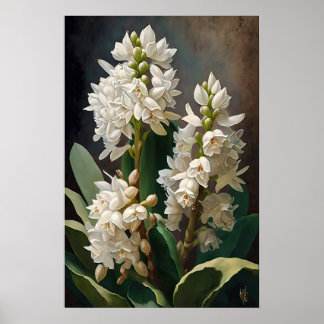 White Hyacinth Flower Art Print Poster