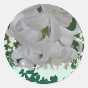 White Hyacinths Stickers