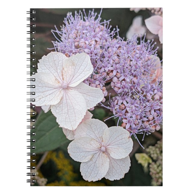 White Hydrangea Aspera Flowers Floral Notebook (Front)
