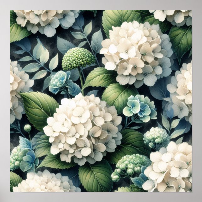 White Hydrangea Botanical Painting Poster (Front)