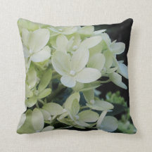 White Hydrangea |