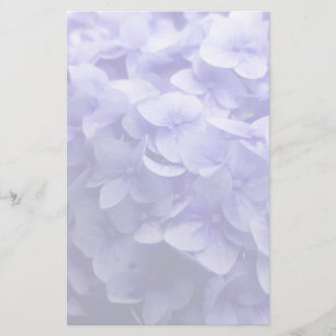 White Hydrangea flower background Stationery