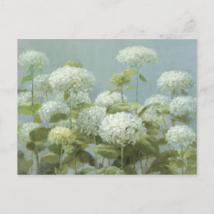 White Hydrangea Garden Postcard