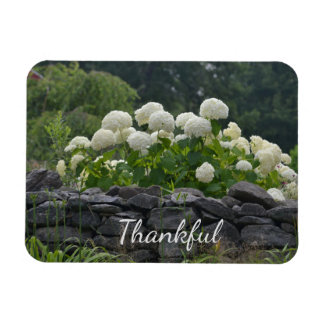 White Hydrangea Gratitude Magnet