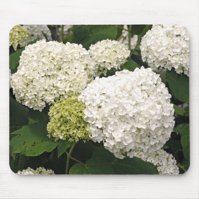 White Hydrangea Mouse Mat (Front)