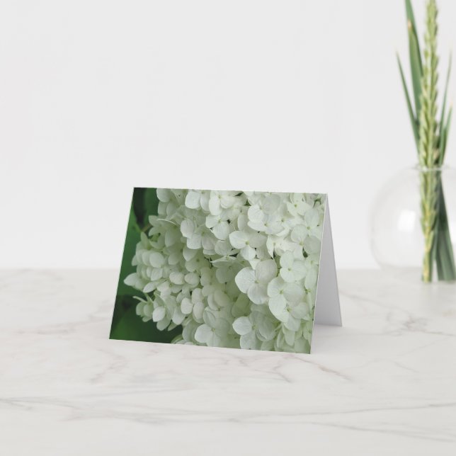 White hydrangea note card (Front)
