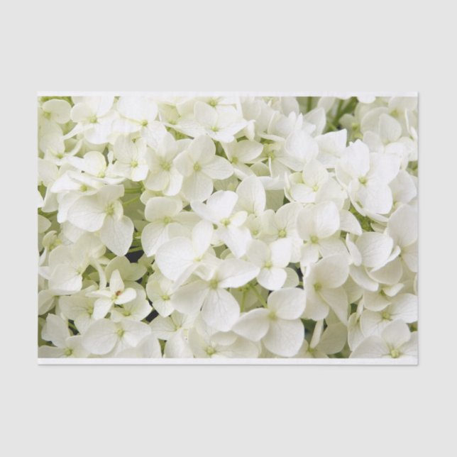 White Hydrangea Summer Party  Tissue Paper (Front)