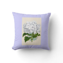 White Hydrangea Vintage Botanicals Illustrations