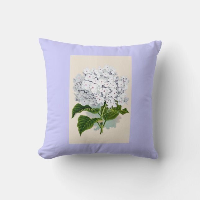 White Hydrangea Vintage Botanicals Illustrations Cushion (Front)