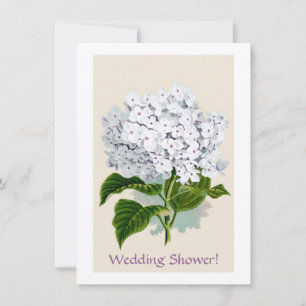 White Hydrangea Vintage Botanicals Illustrations Invitation