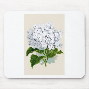 White Hydrangea Vintage Botanicals Illustrations Mouse Mat
