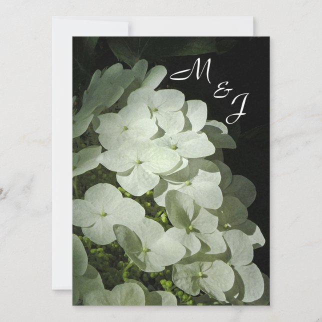 White Hydrangea Wedding Invitation (Front)