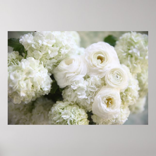 white hydrangeas and ranunculus poster (Front)