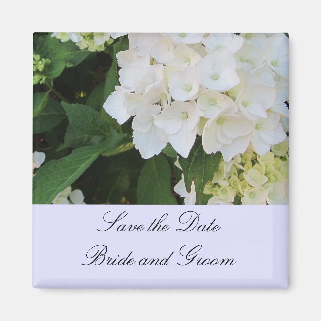White Hydrangeas Magnet (Front)