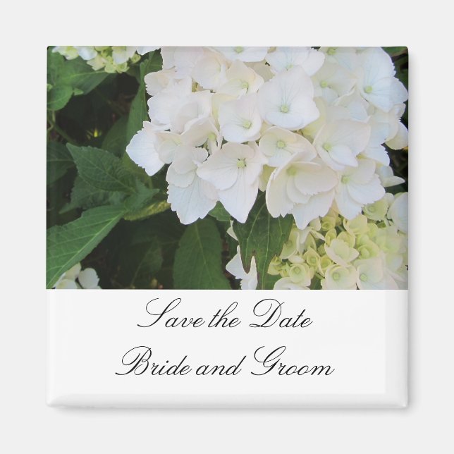 White Hydrangeas Magnet (Front)