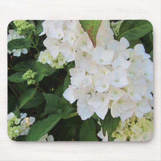 White Hydrangeas Mouse Mat (Front)