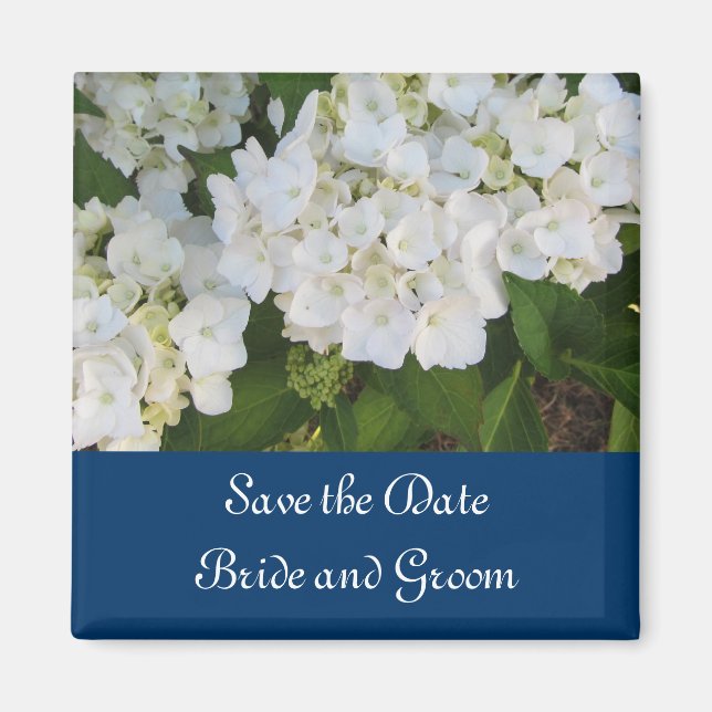White Hydrangeas with Navy Border Magnet (Front)