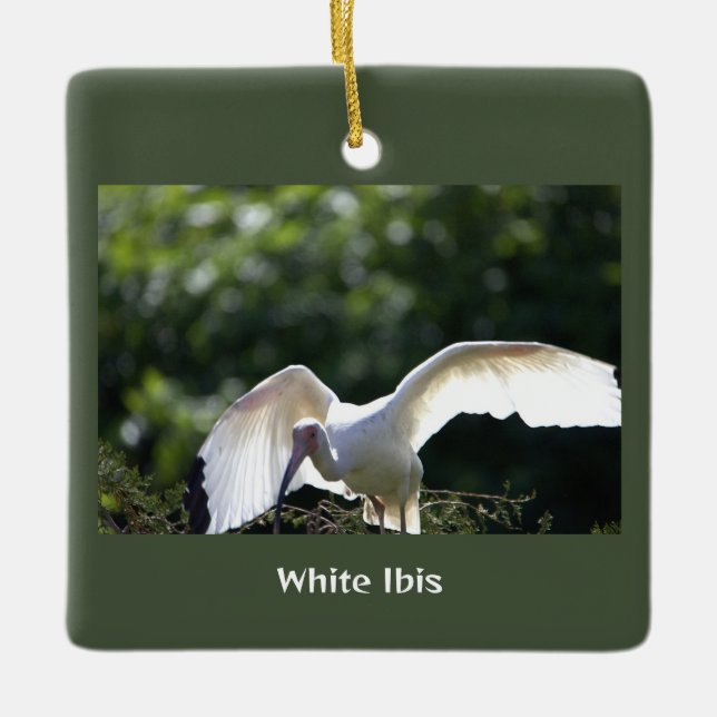 White Ibis Bird Ornament  (Front)
