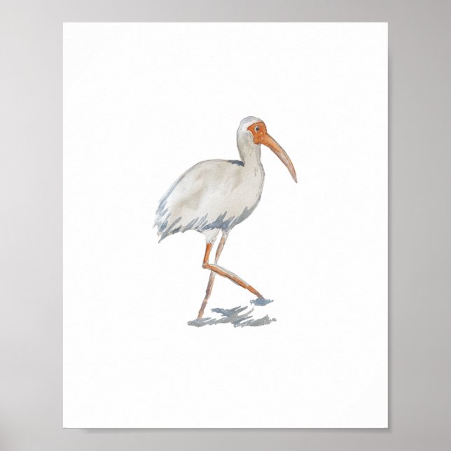 White Ibis Florida Bird Nature Painting Poster (Front)