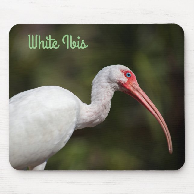 White Ibis Mouse Mat (Front)