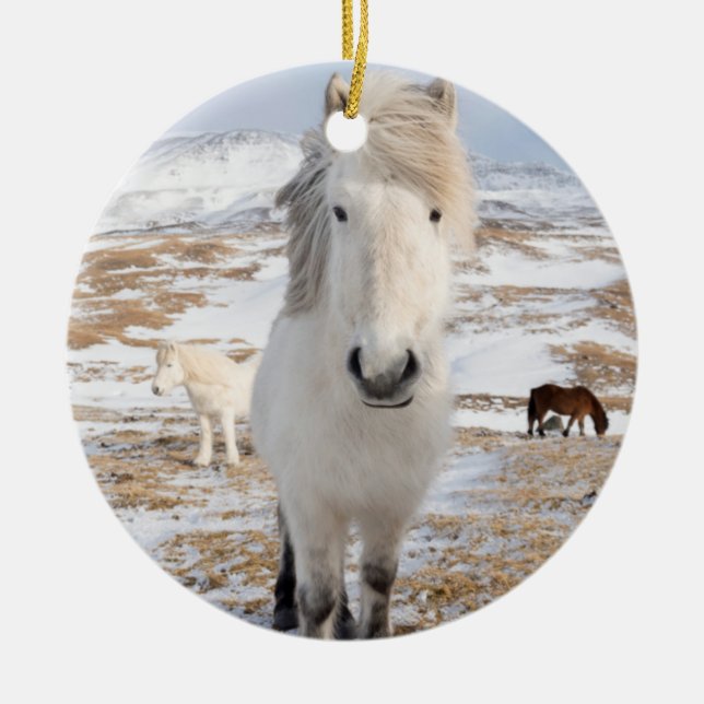 White Icelandic Horse, Iceland Ceramic Tree Decoration (Front)