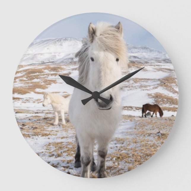 White Icelandic Horse, Iceland Large Clock (Front)