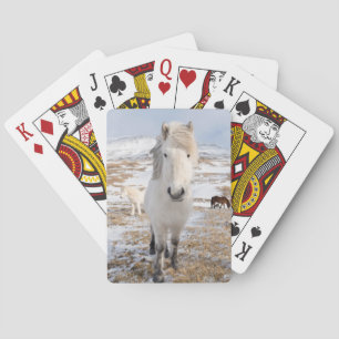 White Icelandic Horse, Iceland Playing Cards