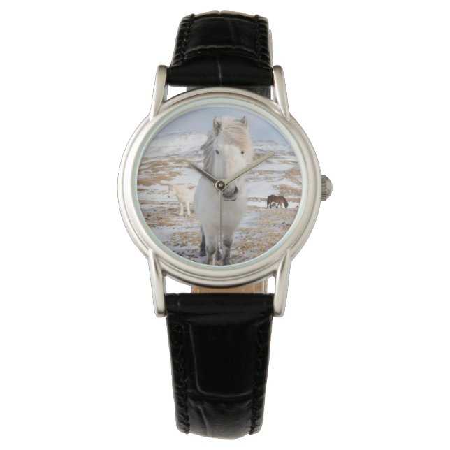 White Icelandic Horse, Iceland Watch (Front)