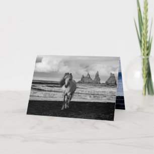 White Icelandic Mare Horse Greeting Card