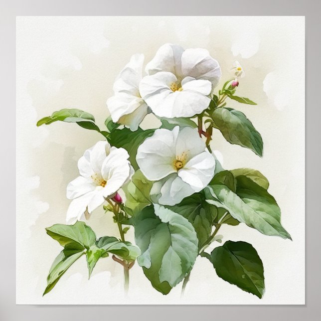 White Impatiens Flower Art Print Poster (Front)