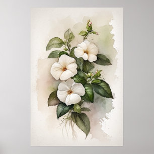 White Impatiens Flower Art Print Poster