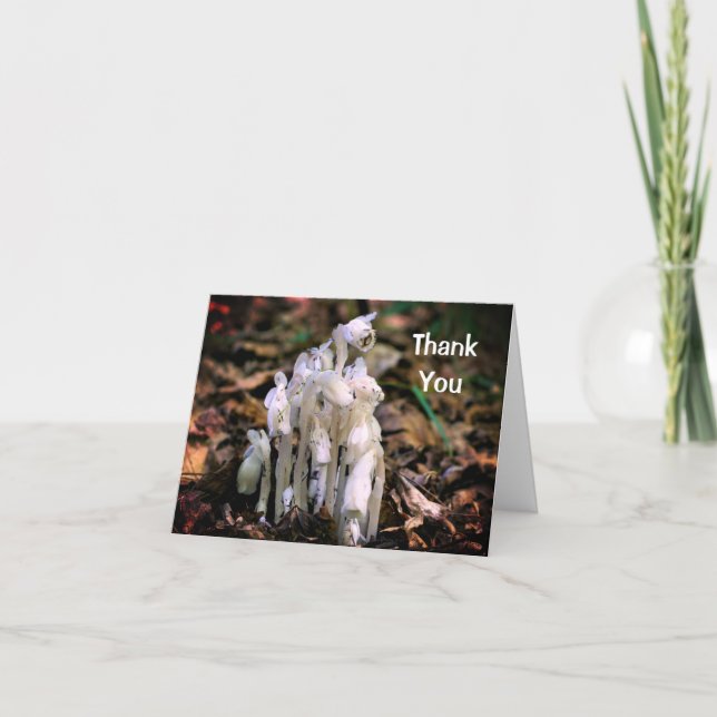 White Indian Pipe Flowers Nature Thank You Card (Front)