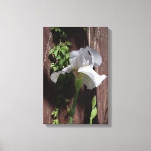 White Iris Designer Print