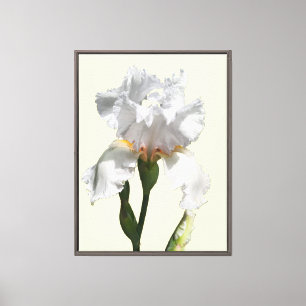 White iris flower canvas photo art print