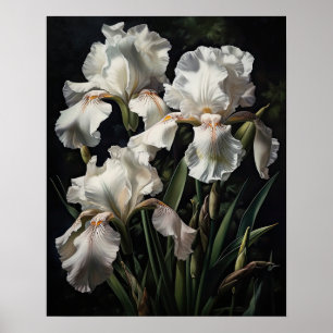 White Iris Flowers Art Print Poster