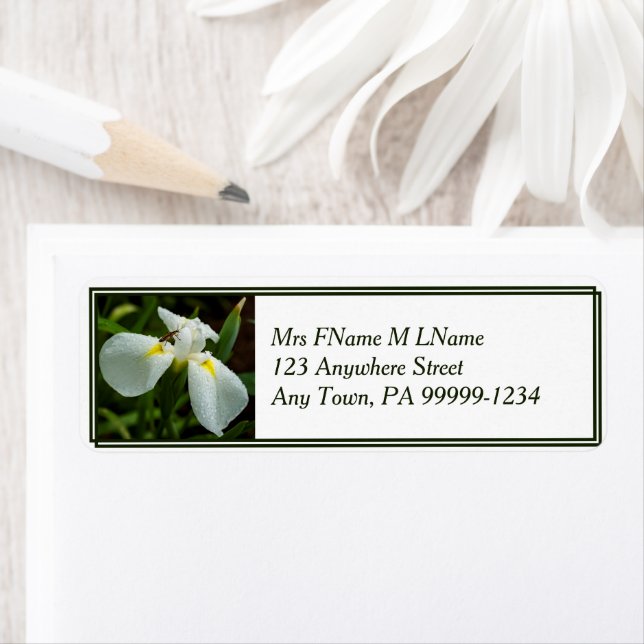 White Iris Label (Insitu)