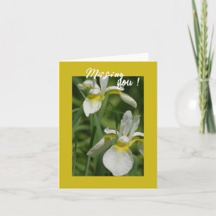 White Iris - Missing You   Card