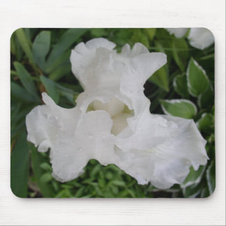 White Iris Mouse Mat