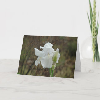 White Iris Sympathy Card