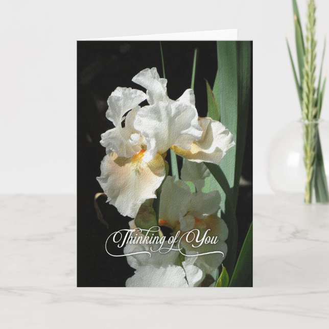 White Iris Thinking of You Blank Card (Front)
