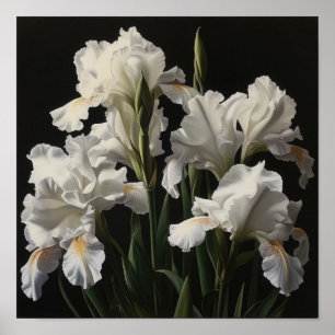 White Irises Flower Art Print Poster
