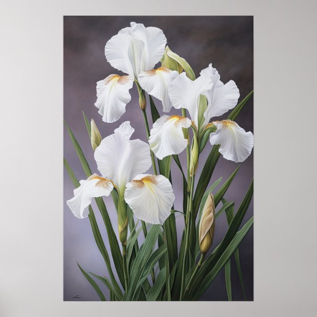 White Irises Flower Art Print Poster (Front)