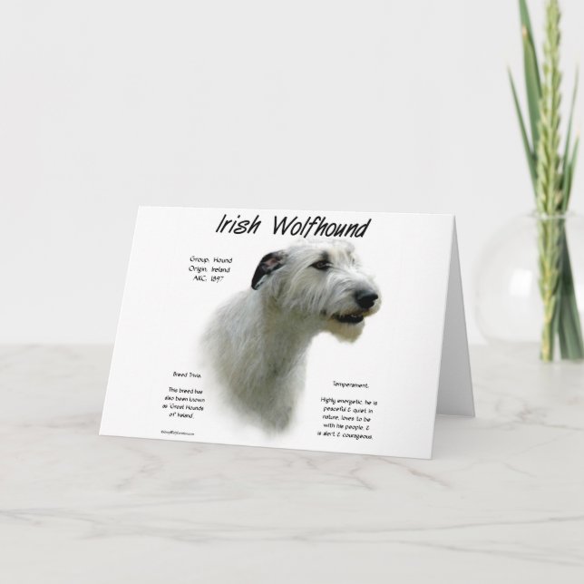 White Irish Wolfhound History  Holiday Card (Front)